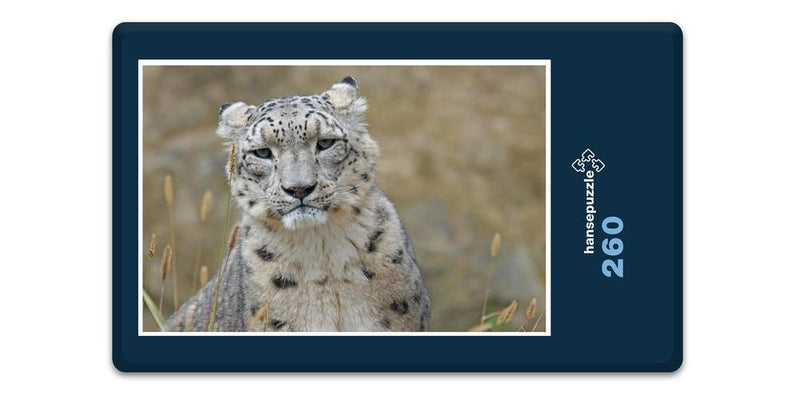 16840 Tierwelt - Schnee-Leopard
