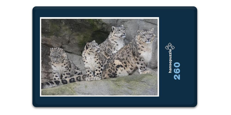 13608 Tierwelt - Leoparden Familie