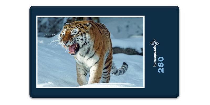 12214 Tierwelt - Tiger