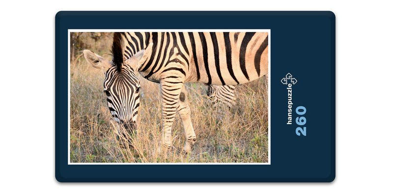 10285 Natur - Zebra