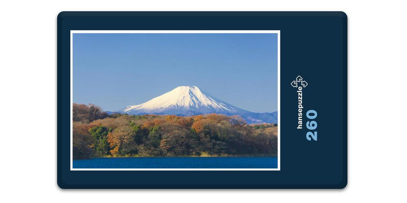 16220 Natur - Fujiyama