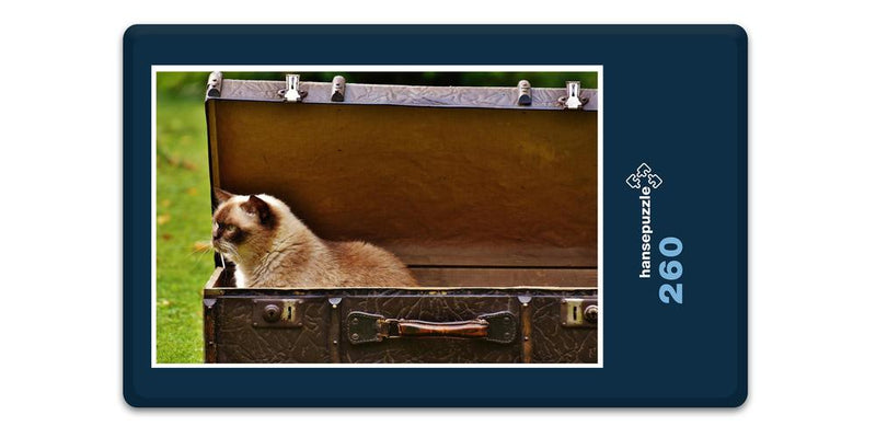 16668 Tierwelt - Katze im Koffer