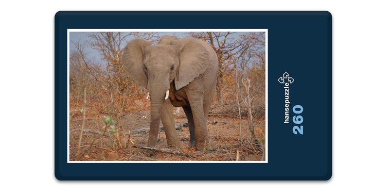 10365 Natur - Elefant