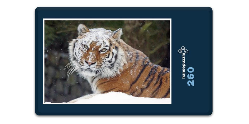 12222 Tierwelt - Schnee-Tiger