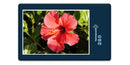 15228 Natur - Hibiskus