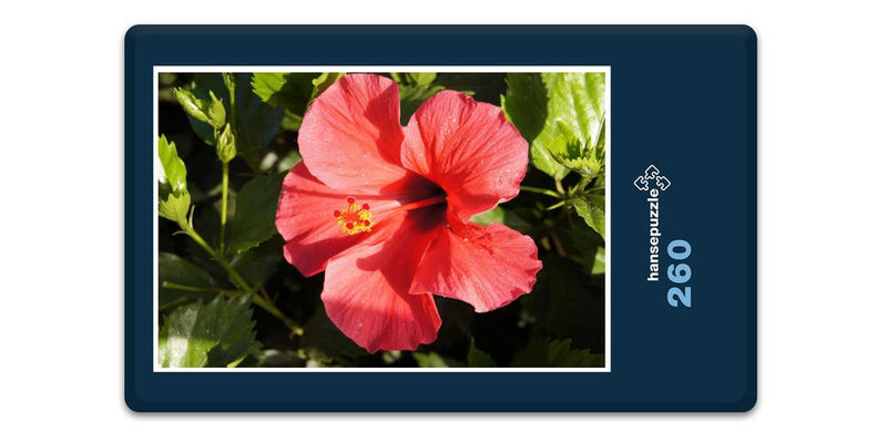 15228 Natur - Hibiskus