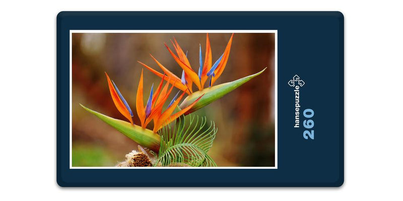 16500 Natur - Bird of Paradise