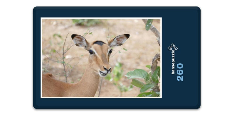 10662 Natur - Impala