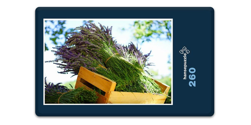 16400 Natur - Lavendel in Box