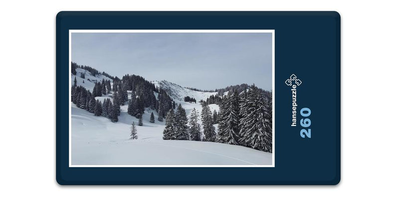 15558 Natur - Schnee-Landschaft