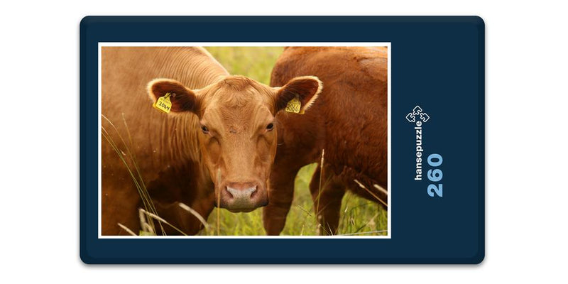 11826 Tierwelt - Glückliche Kuh