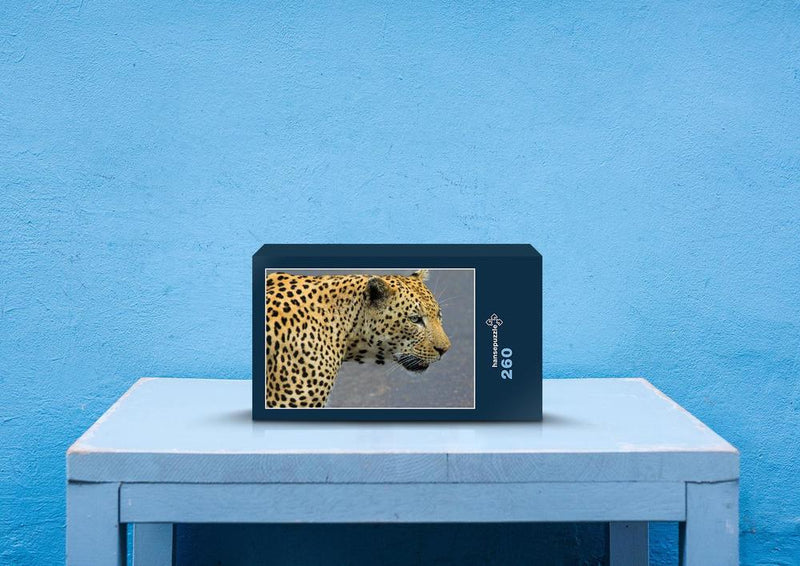 76946 Tierwelt - Leopard