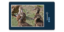 19456 Tierwelt - Enten-Küken