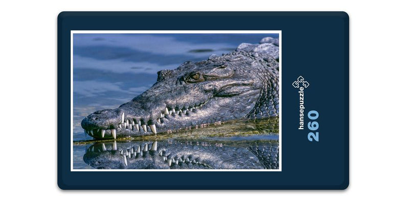 16536 Tierwelt - Krokodil