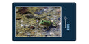 11874 Tierwelt - Frosch im See