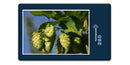 14352 Natur - Hopfen