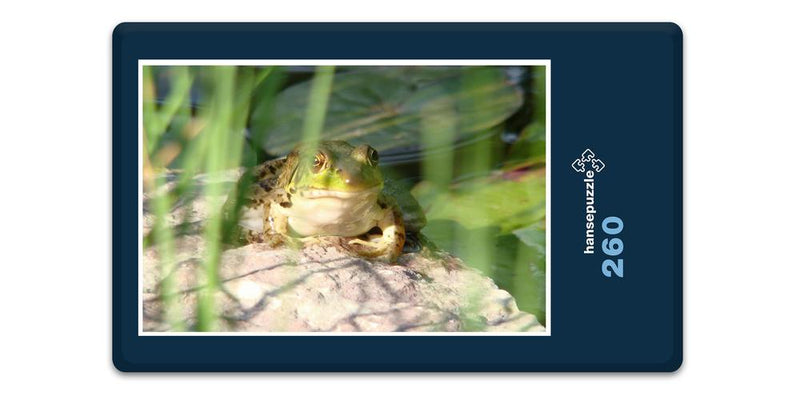 11902 Tierwelt - Frosch am See