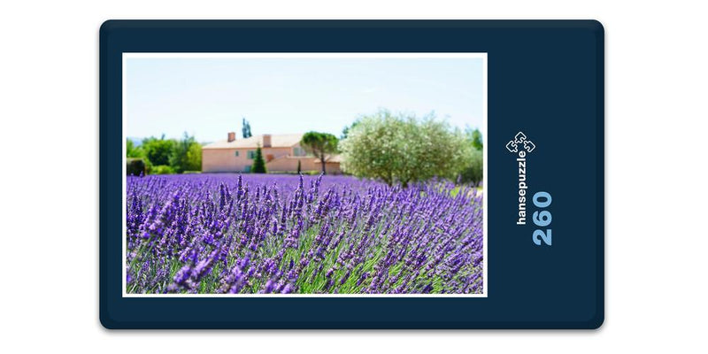 16364 Natur - Lavendel