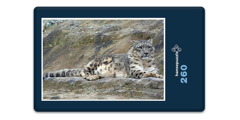 12246 Tierwelt - Schnee-Leopard
