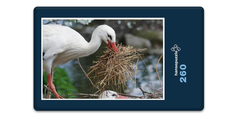 15419 Natur - Storch im Nest