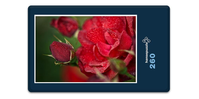 16328 Natur - Rote Rose