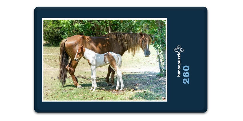 11930 Tierwelt - Pferd und Fohlen