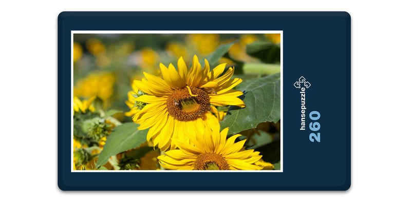 11862 Tierwelt - Sonnenblume