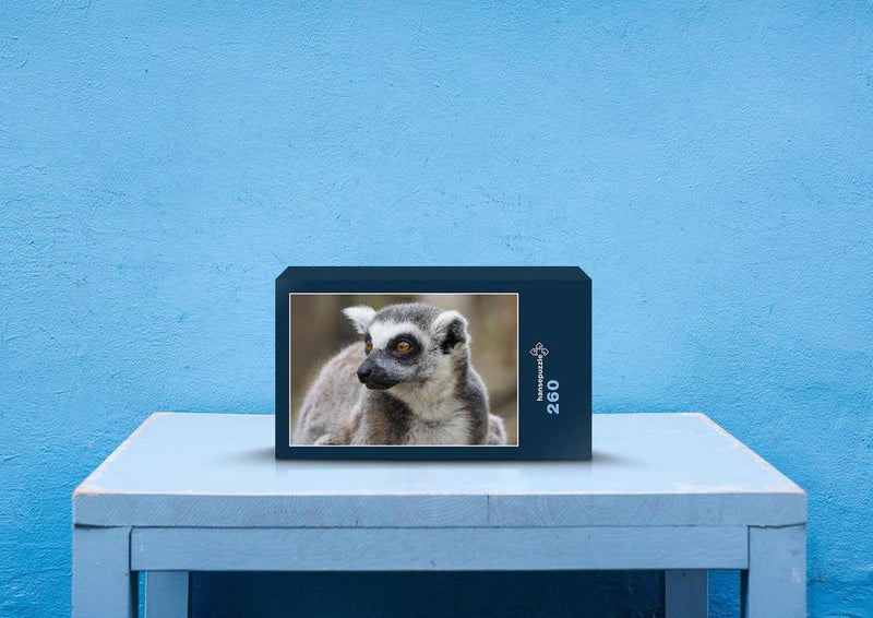 54322 Tierwelt - Lemur