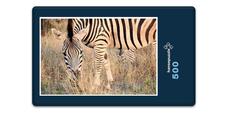 10286 Natur - Zebra