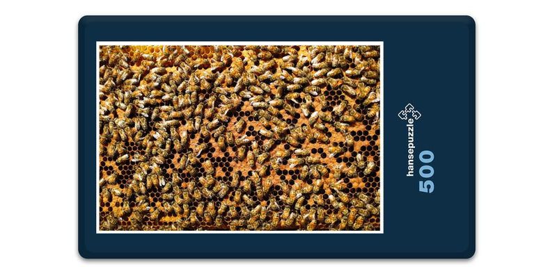 15441 Ernährung - Bienen-Honig
