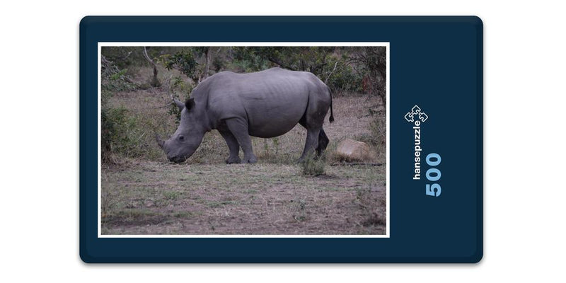 10342 Natur - Nashorn