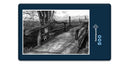 13721 Natur - Brücke