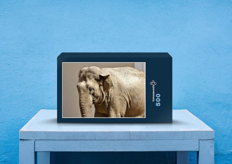 85611 Natur - Elefant