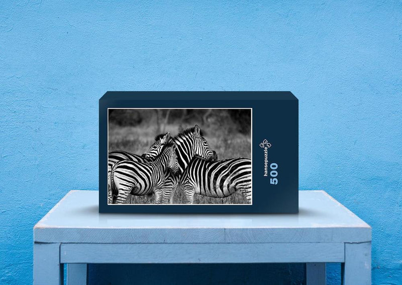 81468 Natur - Zebras