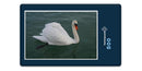 12203 Tierwelt - Schwan