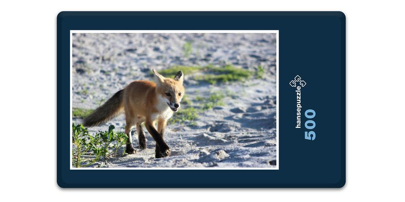 15515 Tierwelt - Fuchs