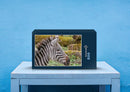 81316 Natur - Zebra