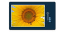 15409 Natur - Sonnenblume