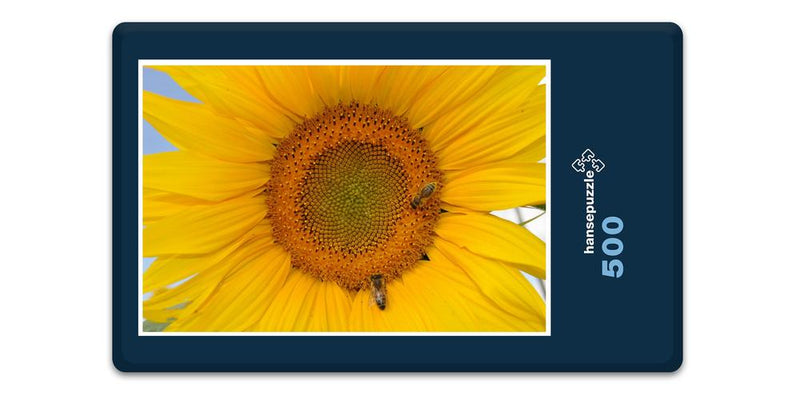 15409 Natur - Sonnenblume