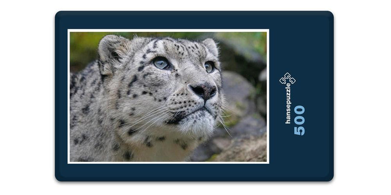 13597 Tierwelt - Schnee-Leopard