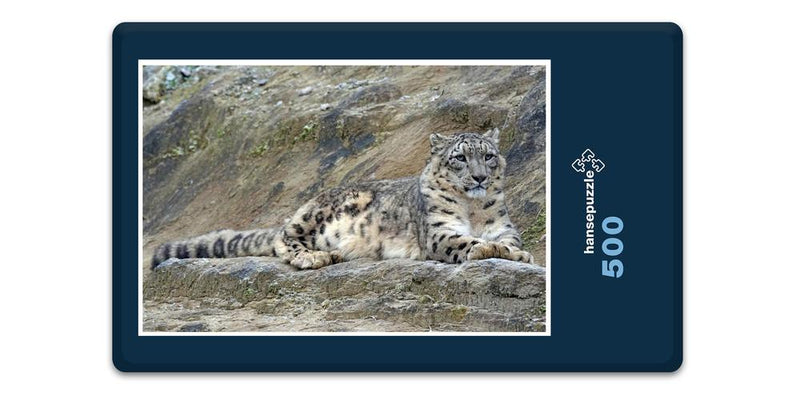 12247 Tierwelt - Schnee-Leopard
