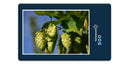 14353 Natur - Hopfen