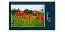 16429 Natur - Mohn-Wiese