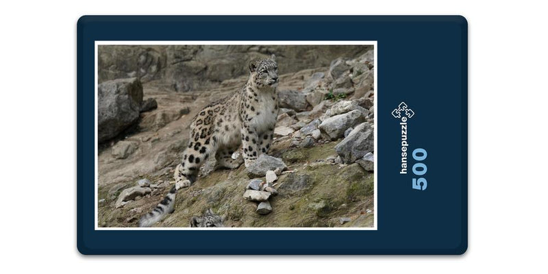 13601 Tierwelt - Schnee-Leopard