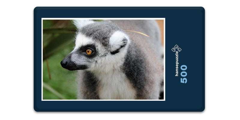 10651 Natur - Lemur