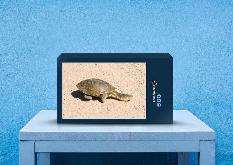 70582 Tierwelt - Schildkröte