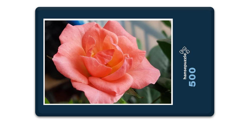 15463 Natur - Rose