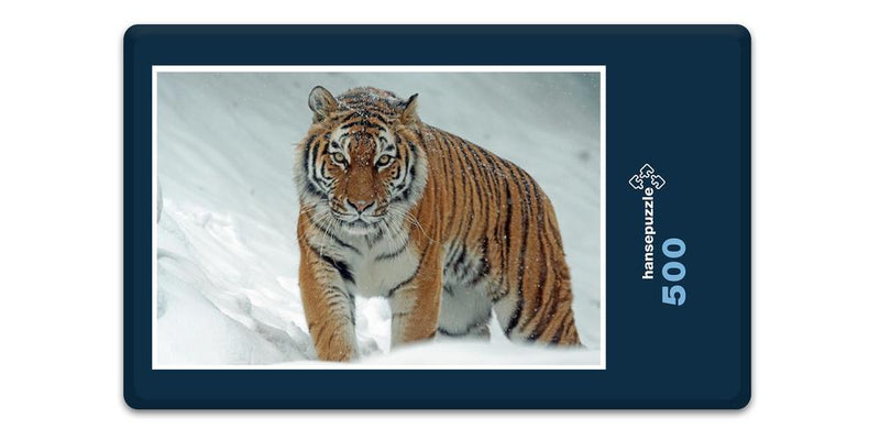 12231 Tierwelt - Tiger im Schnee