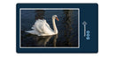 10895 Reisen - Schwan