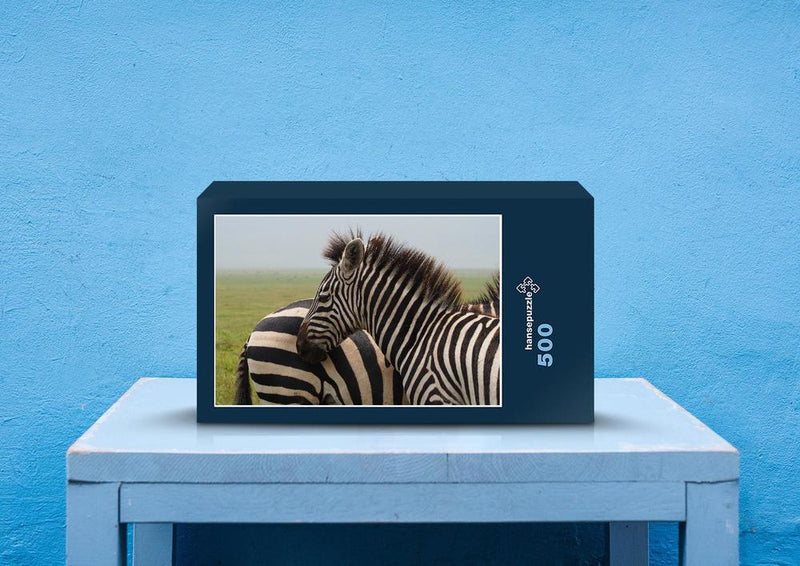 81269 Natur - Zebras